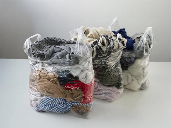 Foto: shutterstock_1687562173 - Ondacaracola