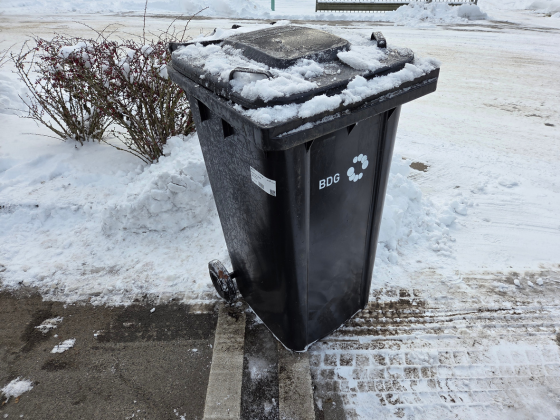 Bei Schnee kann es vor allem in Nebenstraßen dazu kommen, dass eine Tonne auch mal nicht geleert werden kann (Foto: Kreiswerke Barnim)