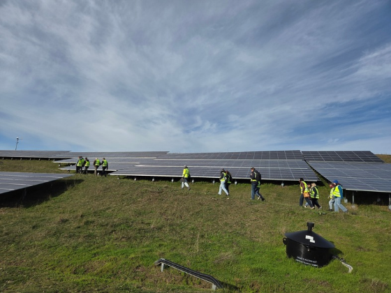 14 Teilnehmende erklimmen den Deponieberg in Eberswalde Ostend und informieren sich zu dem Photovoltaikprojekt (Foto: Anna-Lena Domes / Kreiswerke Barnim)