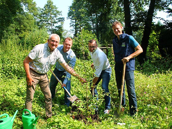 Moorbirke als Baum des Jahres 2023 gepflanzt 